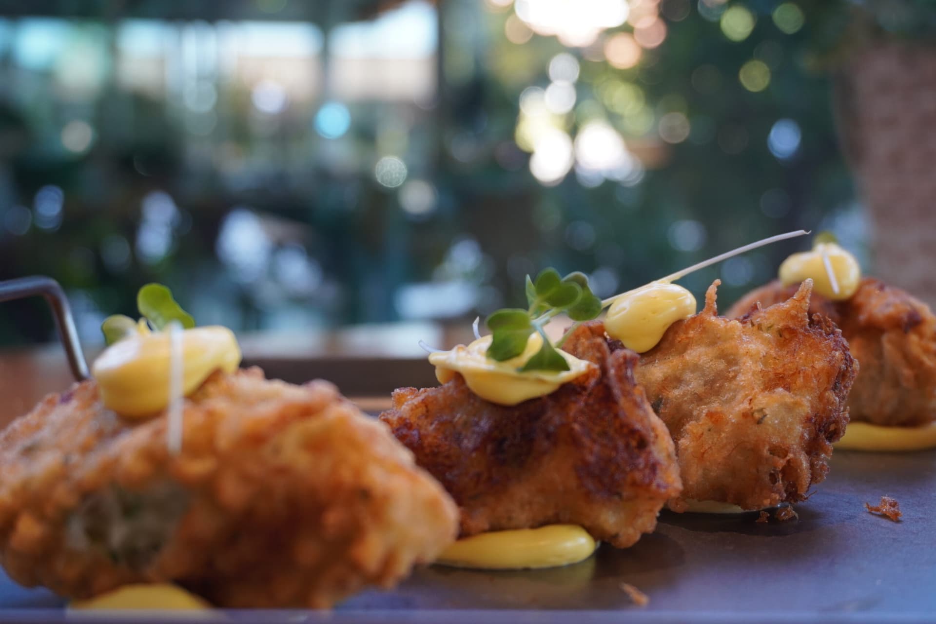 crispy-fritters-with-aioli-garnish